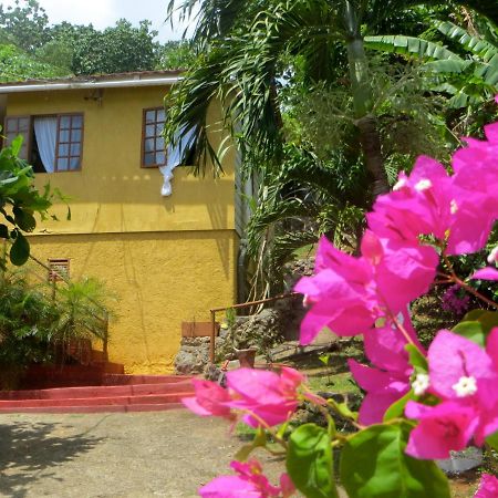 La Familia Guest House And Natural Farm Port Antonio Kültér fotó