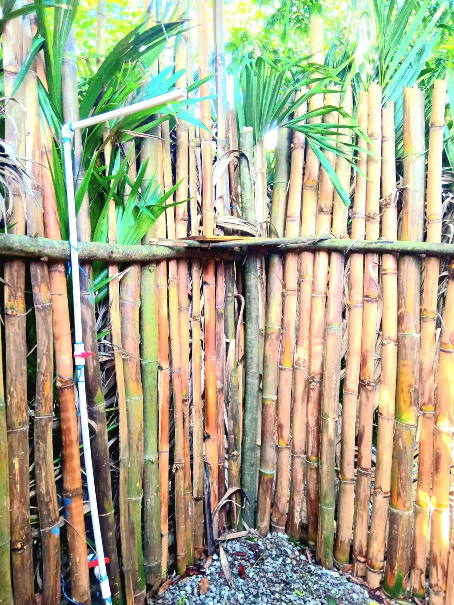 La Familia Guest House And Natural Farm Port Antonio Kültér fotó