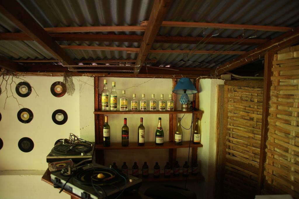 La Familia Guest House And Natural Farm Port Antonio Kültér fotó