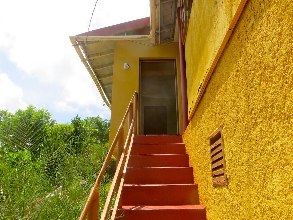 La Familia Guest House And Natural Farm Port Antonio Kültér fotó
