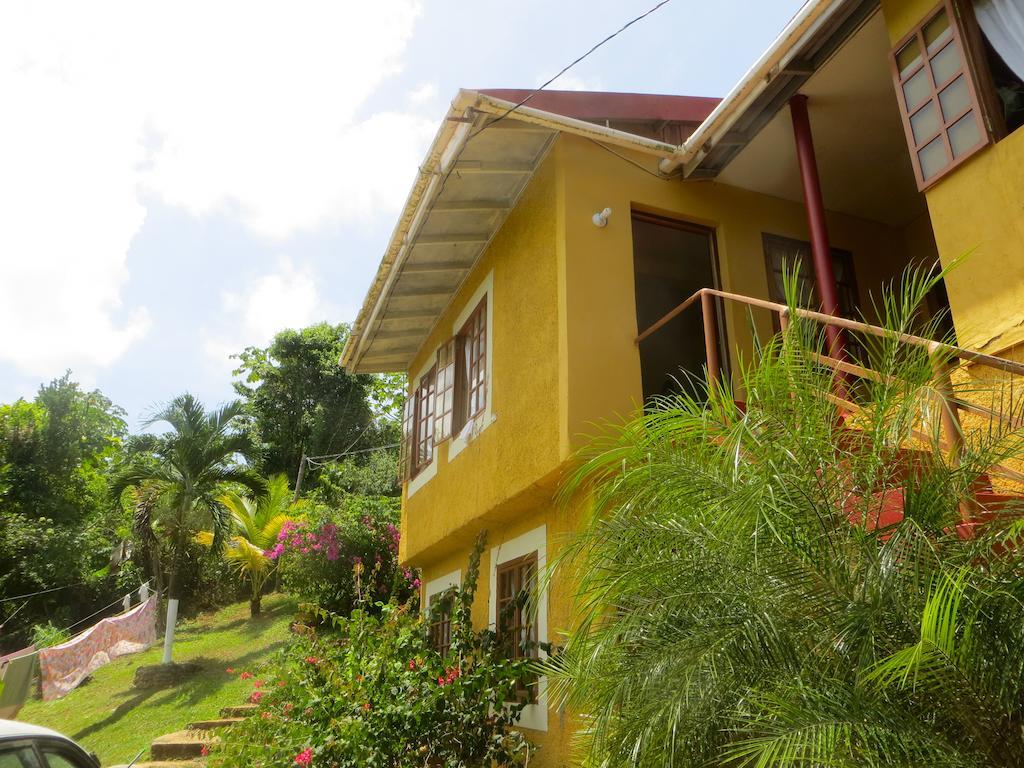 La Familia Guest House And Natural Farm Port Antonio Kültér fotó