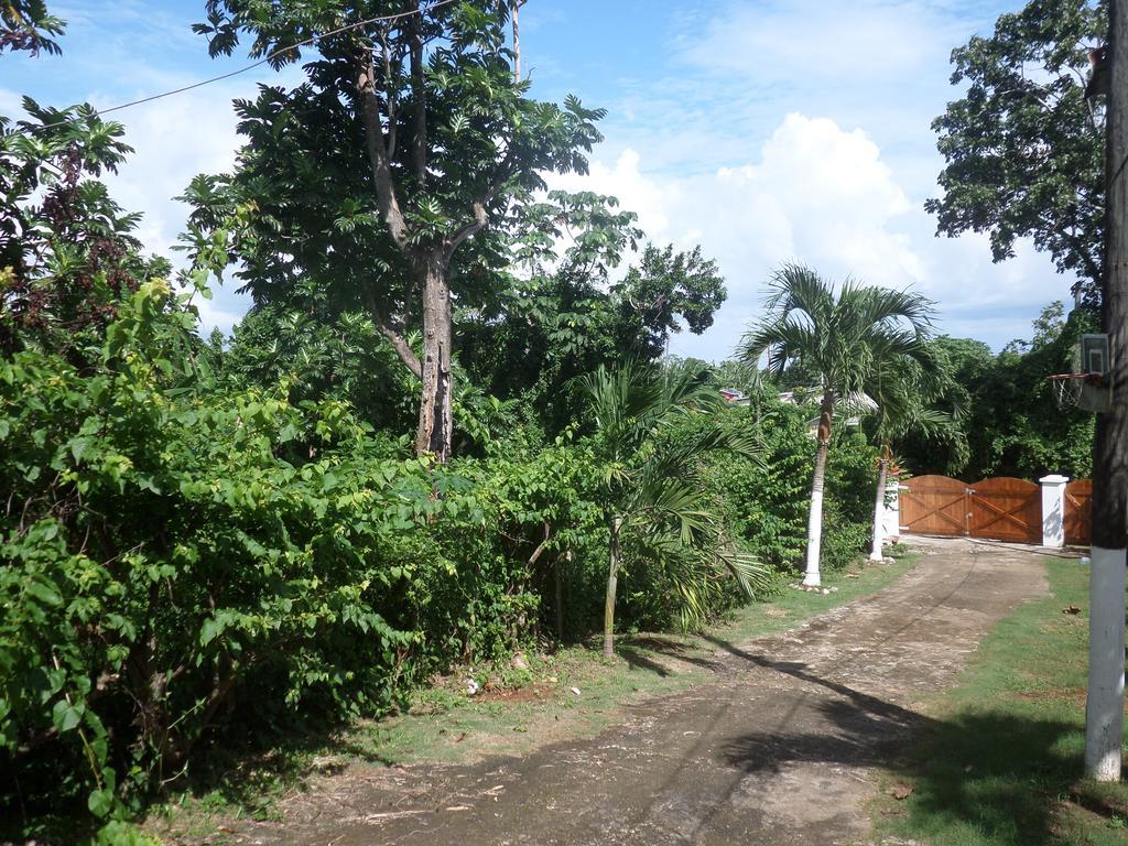 La Familia Guest House And Natural Farm Port Antonio Kültér fotó