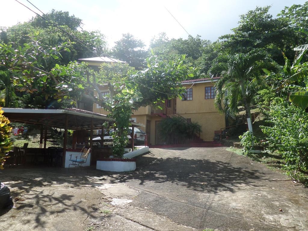 La Familia Guest House And Natural Farm Port Antonio Kültér fotó
