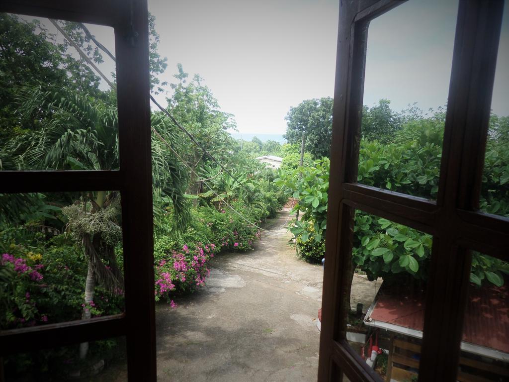 La Familia Guest House And Natural Farm Port Antonio Kültér fotó