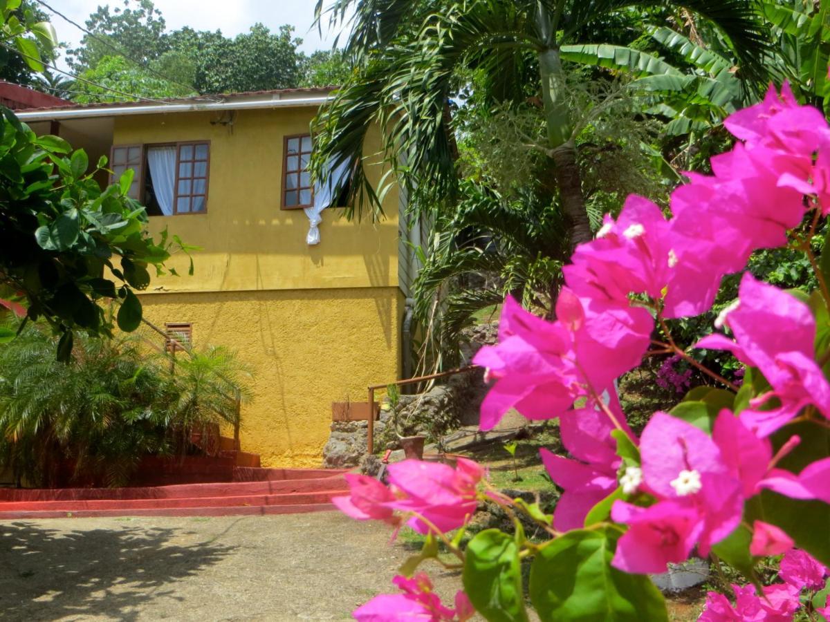 La Familia Guest House And Natural Farm Port Antonio Kültér fotó